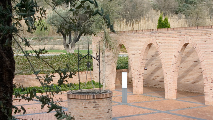 Vinos del Somontano: al pie del monte