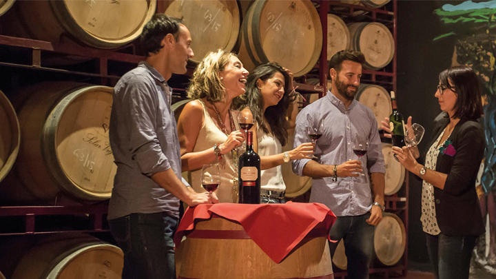 Spain Through its Wineries