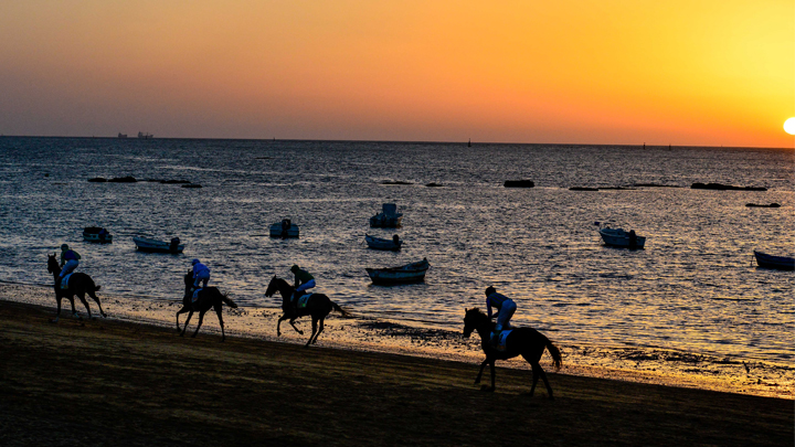 Una sólida relación entre enoturismo y sociedad