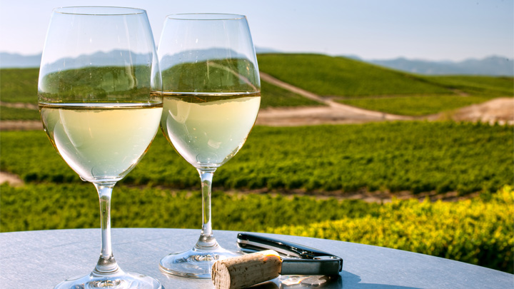 Todo lo que debes saber sobre el vino blanco