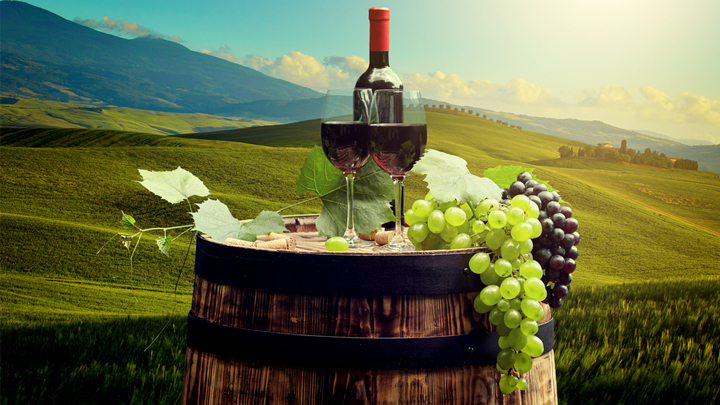 El enoturismo en España