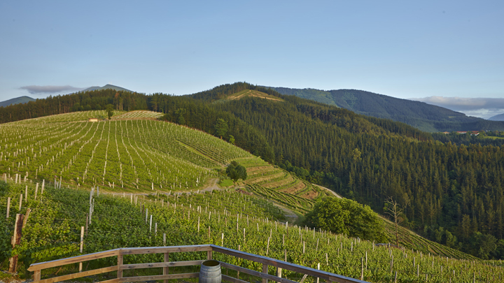 Enoturismo, mucho más que visitar bodegas