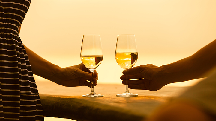 Spain Through its Wineries cruza fronteras