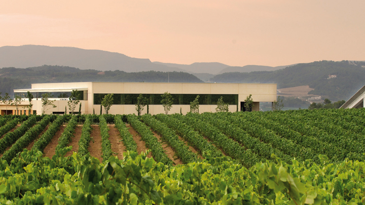 Toro, una histórica área vinícola